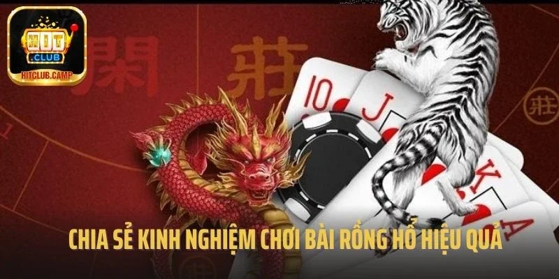 Chia sẻ kinh nghiệm chơi bài rồng hổ hiệu quả